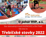Třebíčské stovky 22 plakát
